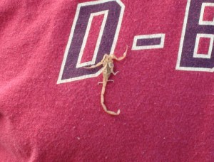 Courtesy of my fearless husband